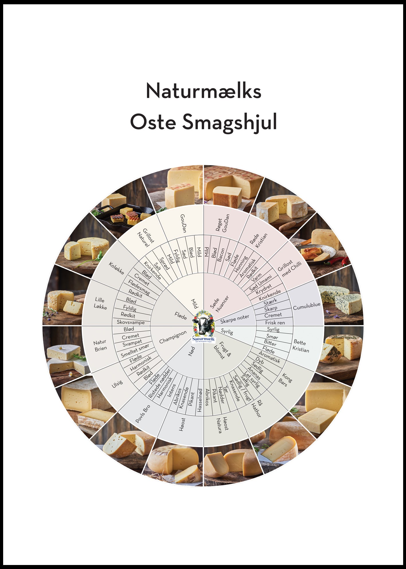 Plakat "Ostehjulet" 50x70 cm